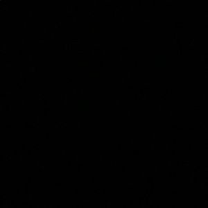 Meet your Posher, Lucas